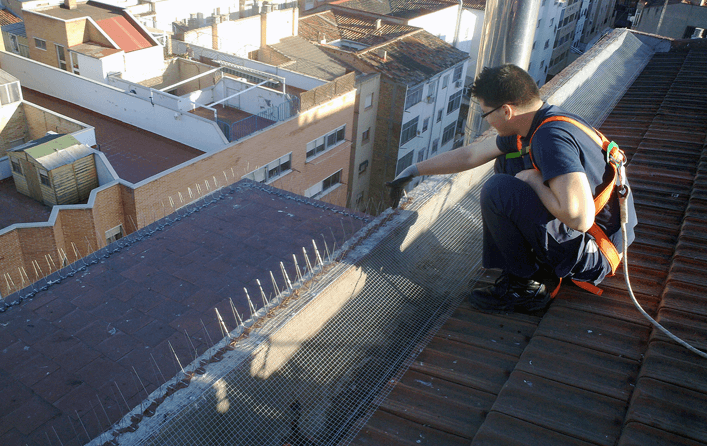 servicio-control-aves-lima-peru-02